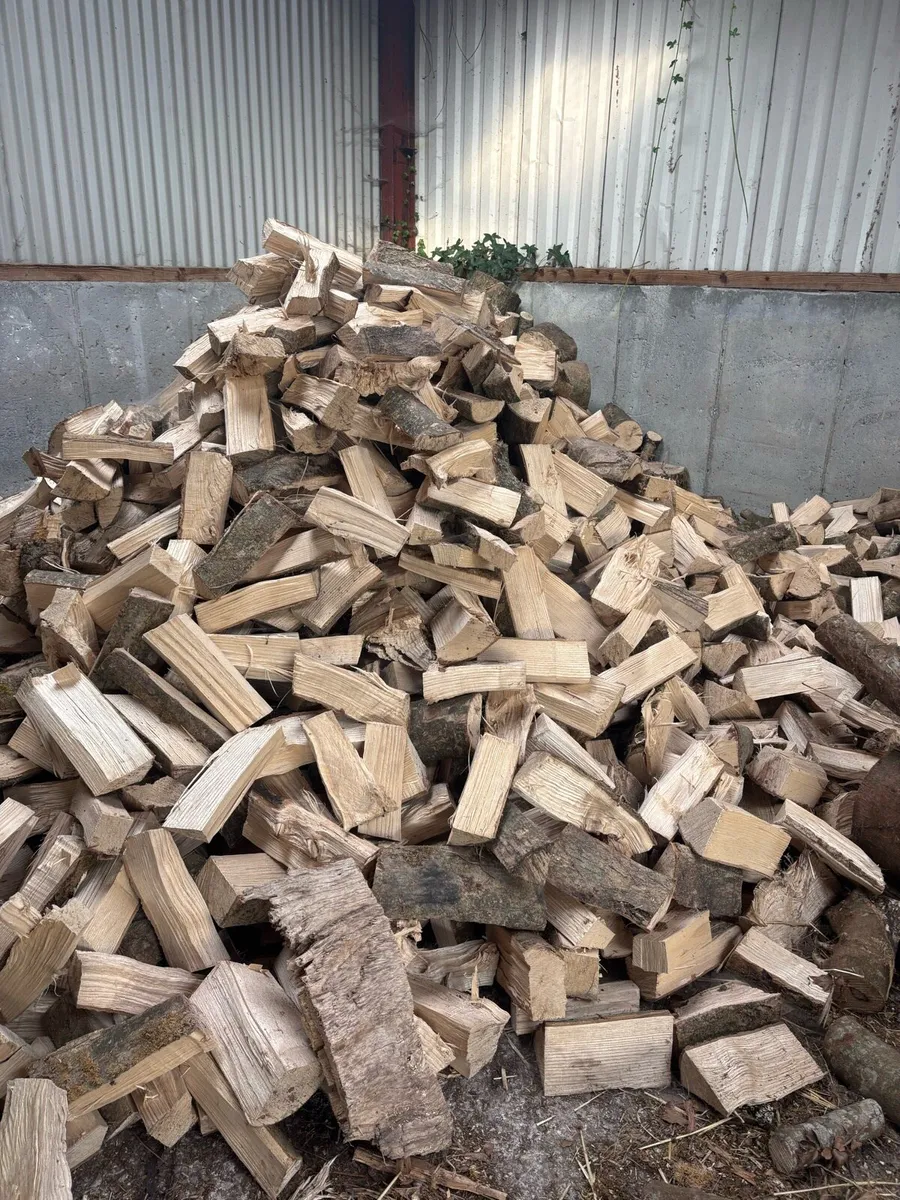 Firewood - Image 3