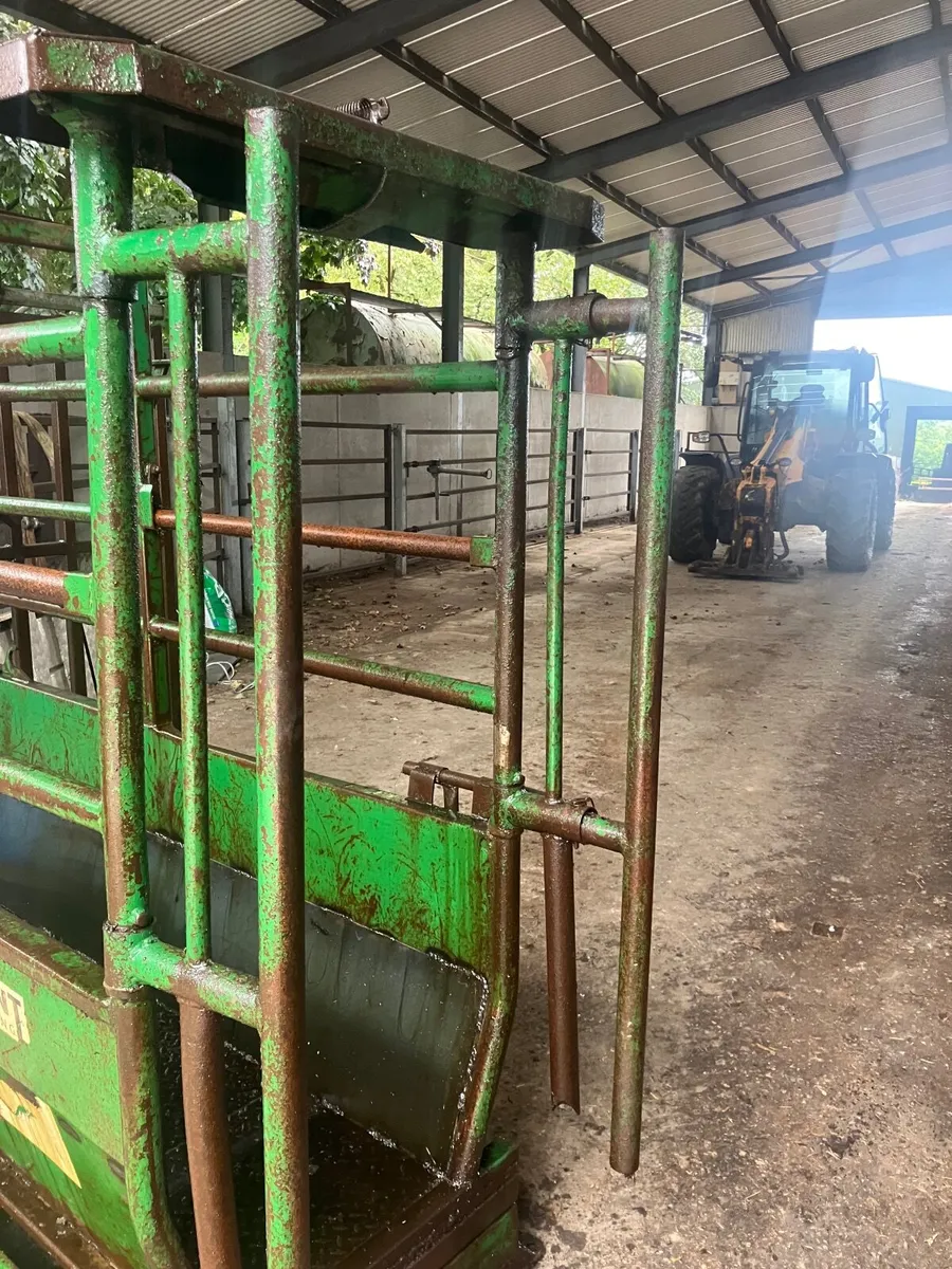 Cattle Crush and Weighing Scales - Image 3