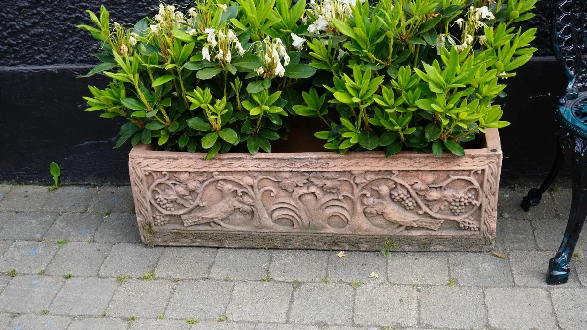 Pair of Heavy Spanish Terracotta Planters - Image 3