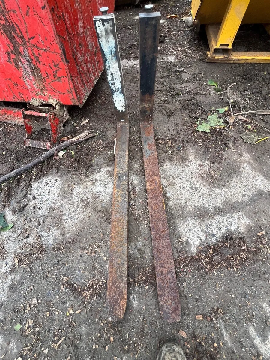 Pallet Forks - Image 1