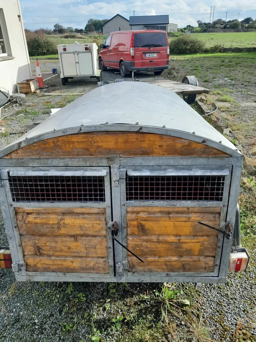 Dog trailers - Image 4
