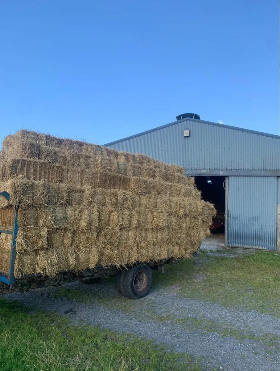 Small Square bales of Straw - Image 4