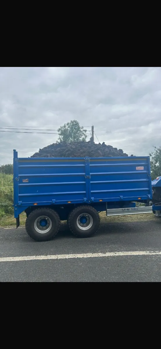 🔥🔥TRAILER LOADS HARDWOOD TIMBER FOR SALE 🔥🔥 - Image 4