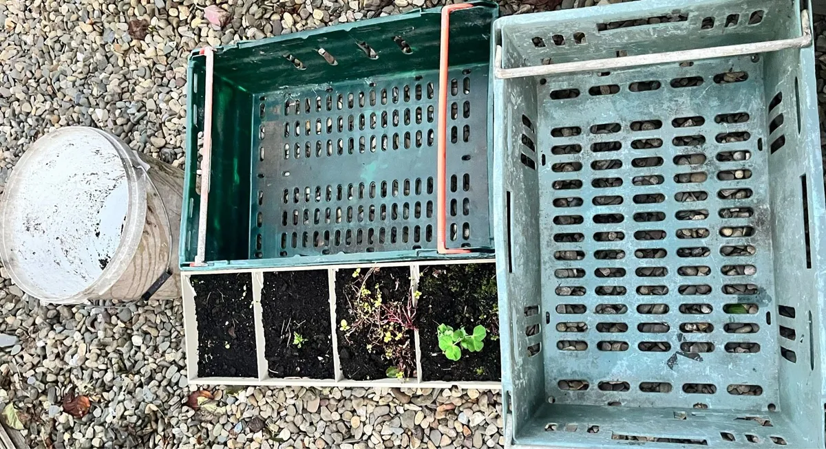 Items for garden - Image 4