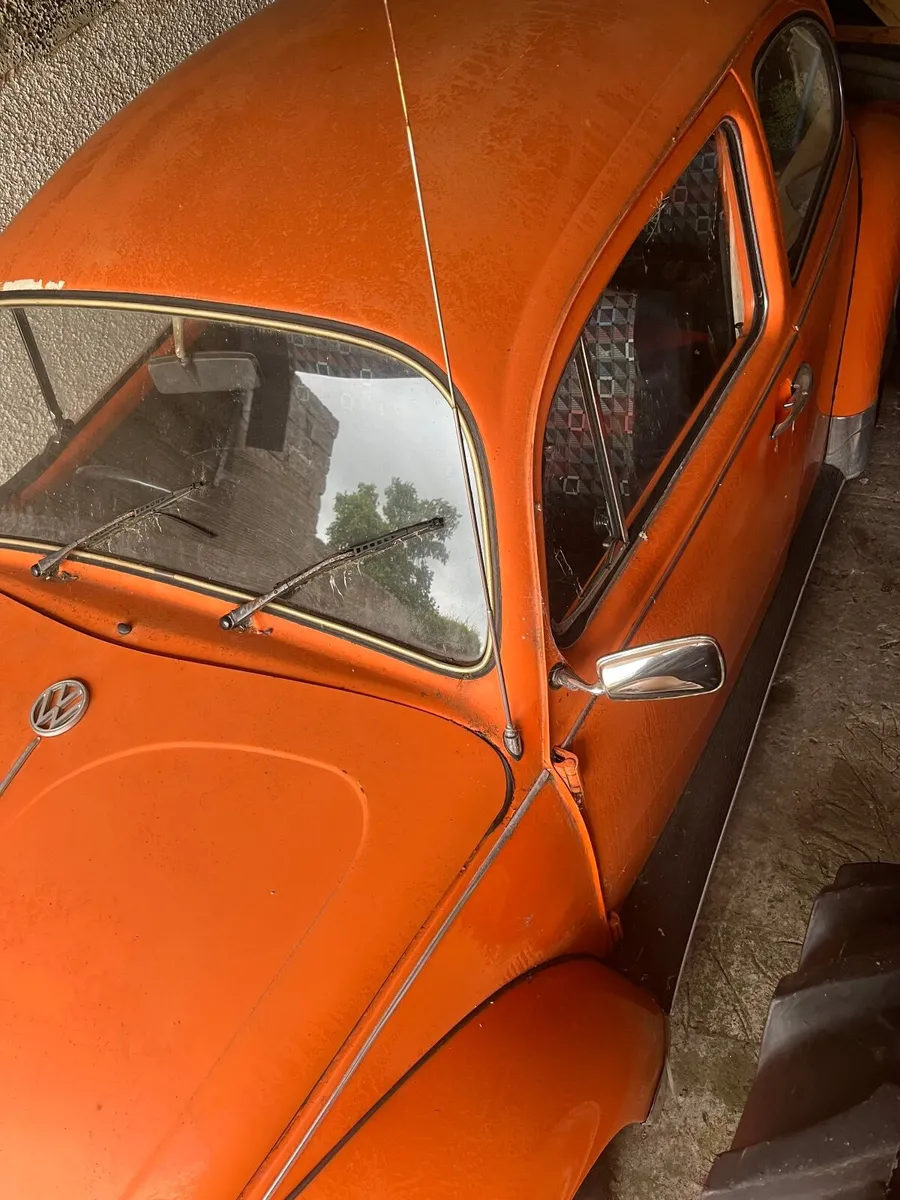 Volkswagen Beetle 1975 - Image 3