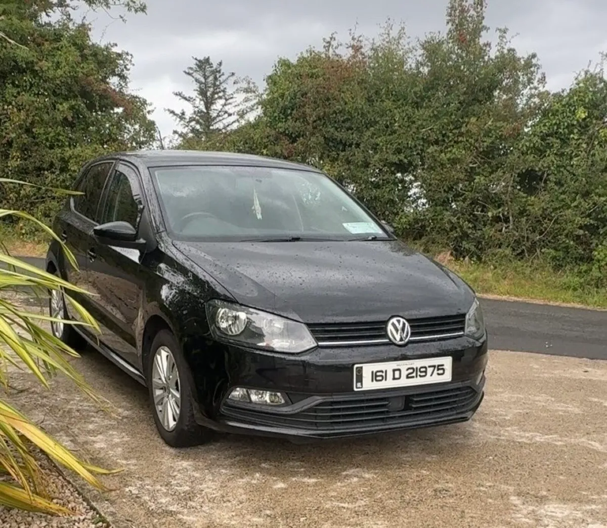 Volkswagen Polo 1.0L Petrol - Image 1