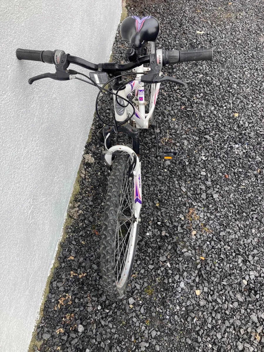 Ladies Bike - Image 2