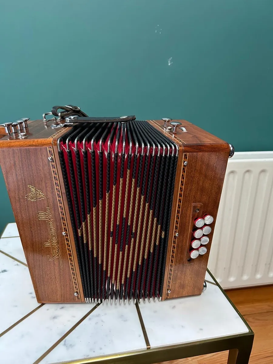 Button Accordion - Image 4