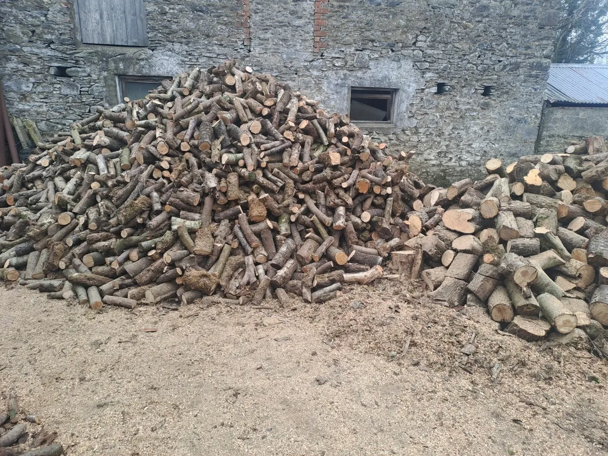 Hardwood firewood - Image 4