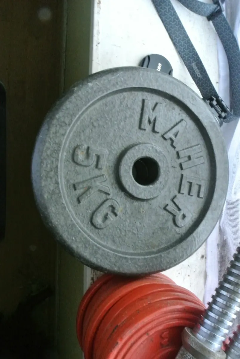 Weights - Image 4