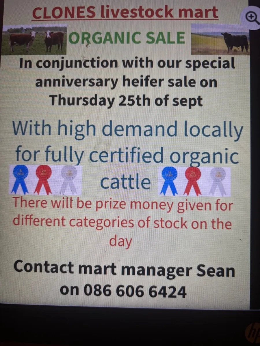 🐂ORGANIC CATTLE AND HEIFER SALE CLONES MART🐂 - Image 1