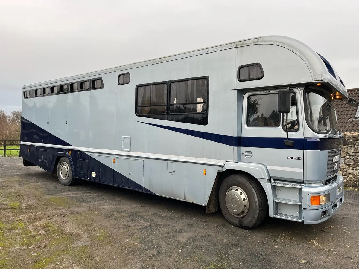 5/6 horse truck - Image 2