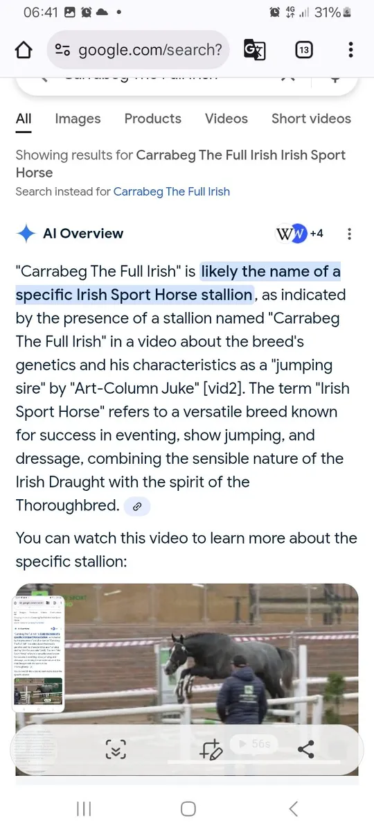 Filly - Image 2