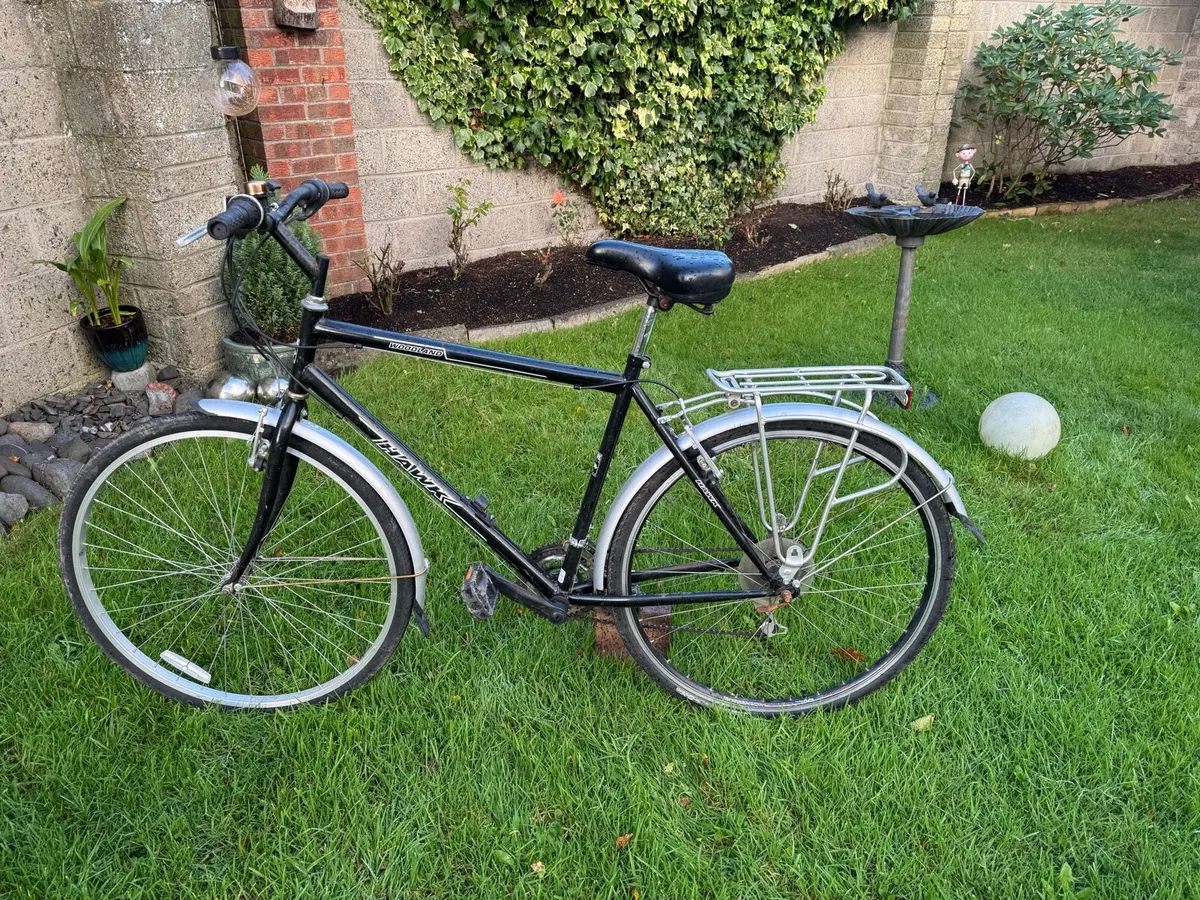 Bike - Image 1