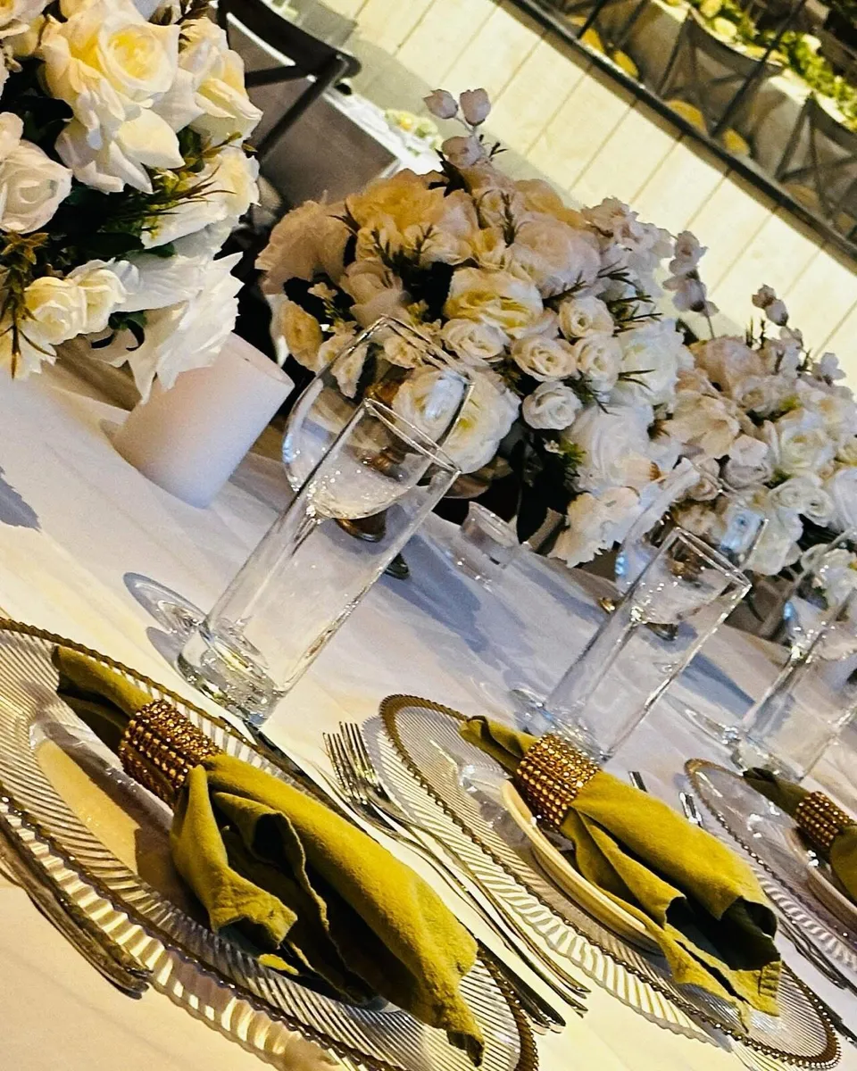 Chairs and party equipment for hire - Image 4
