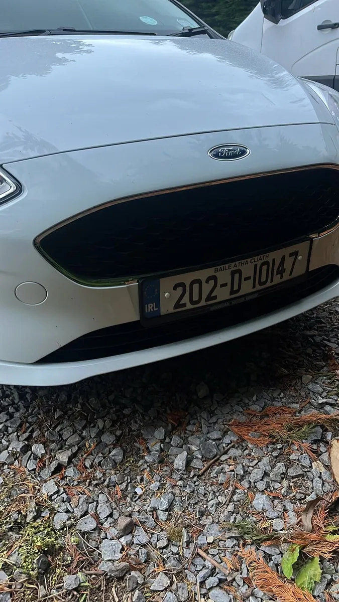 Ford fiesta Van 2020( cheapest on the net) - Image 4