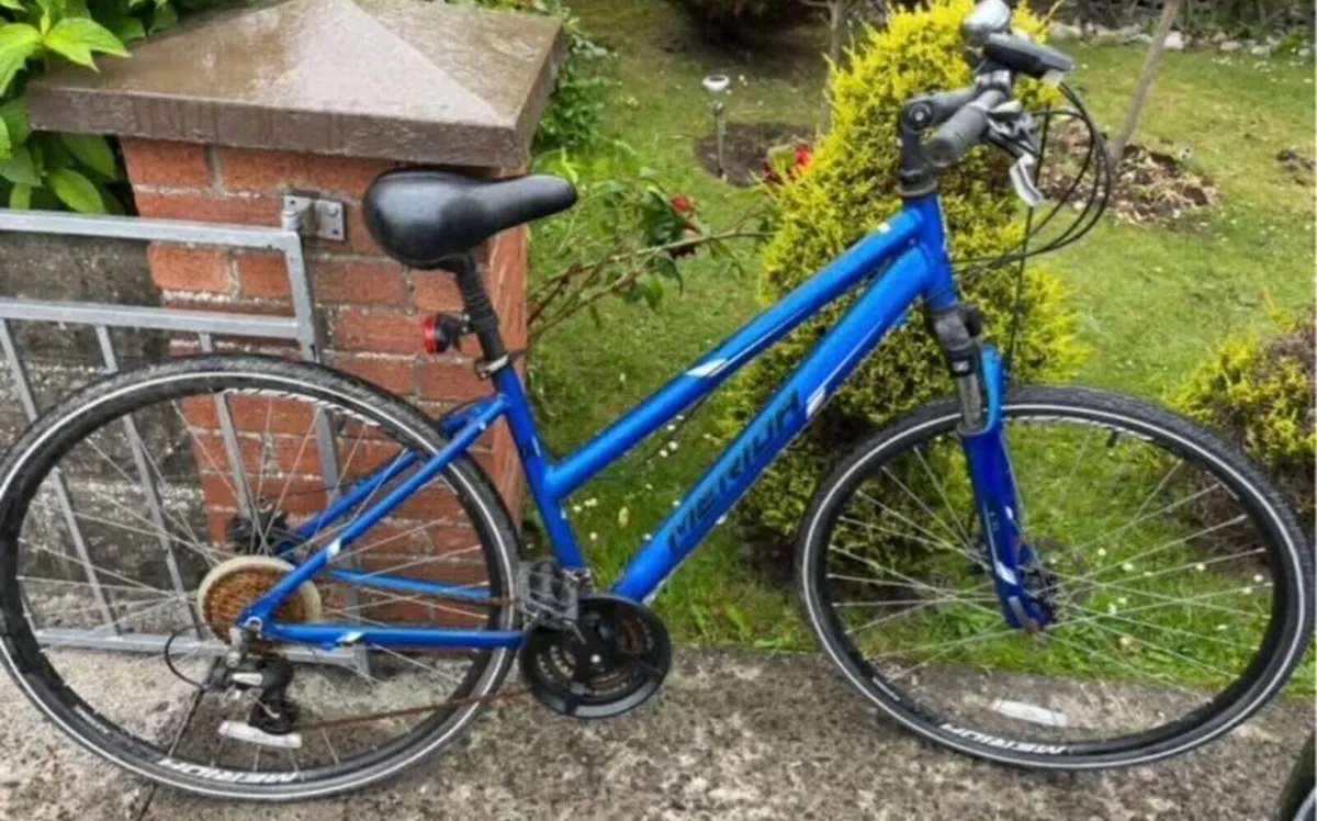 Hybrid