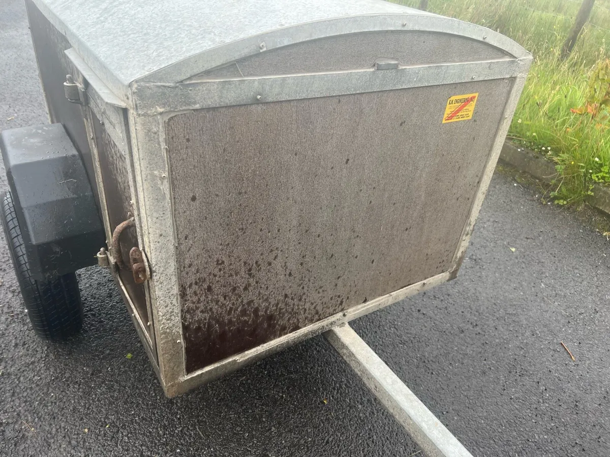 KM DOG TRAILER - Image 2
