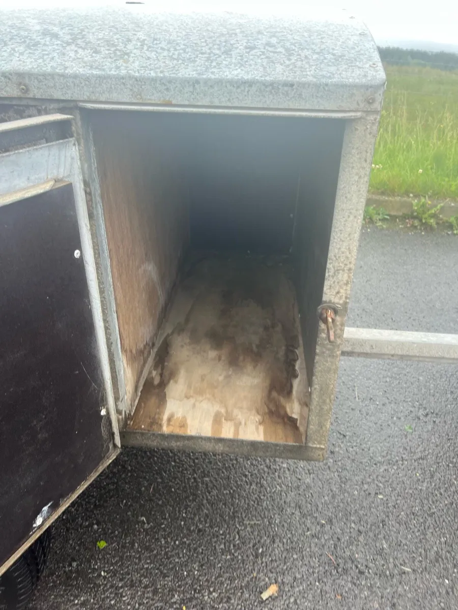 KM DOG TRAILER - Image 3