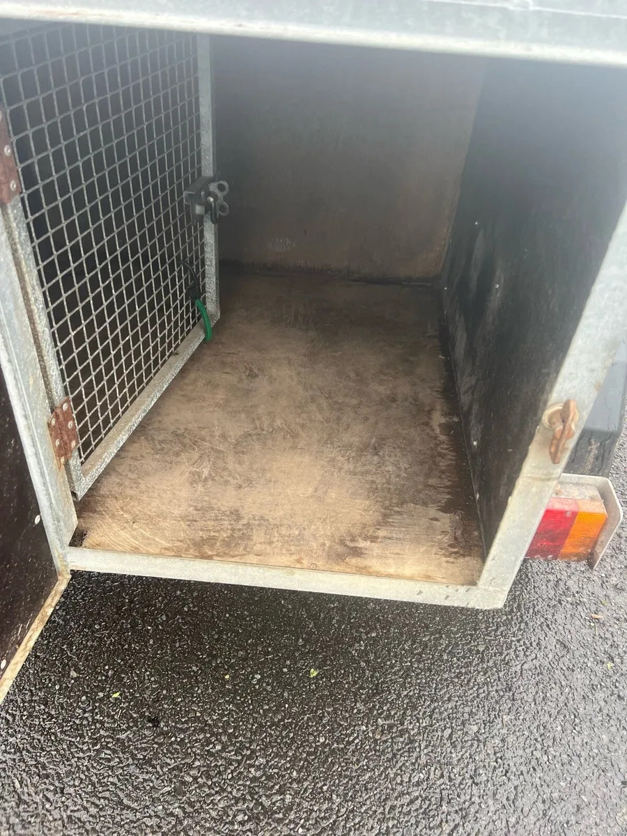 KM DOG TRAILER - Image 4