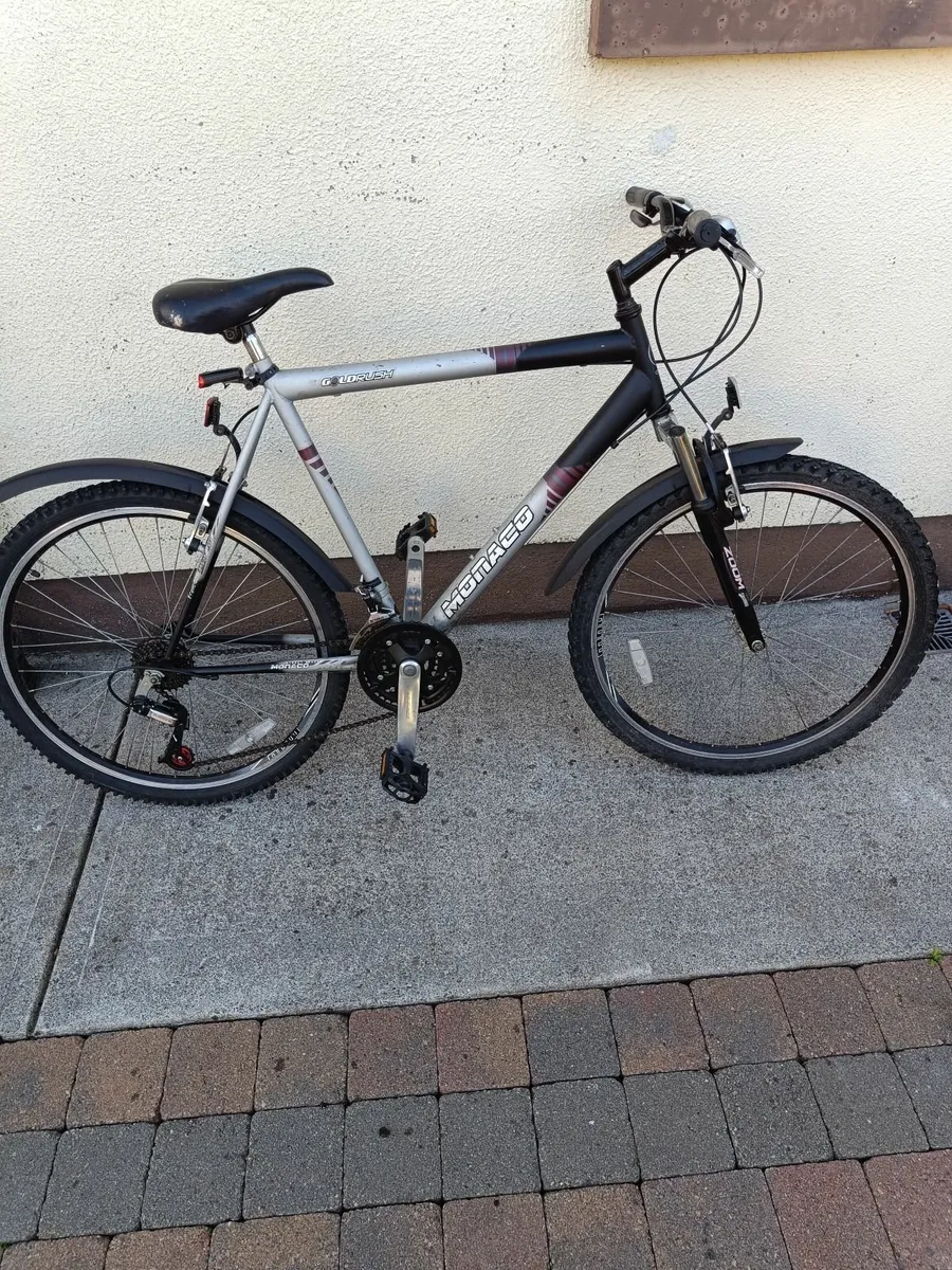 Bike - Image 1