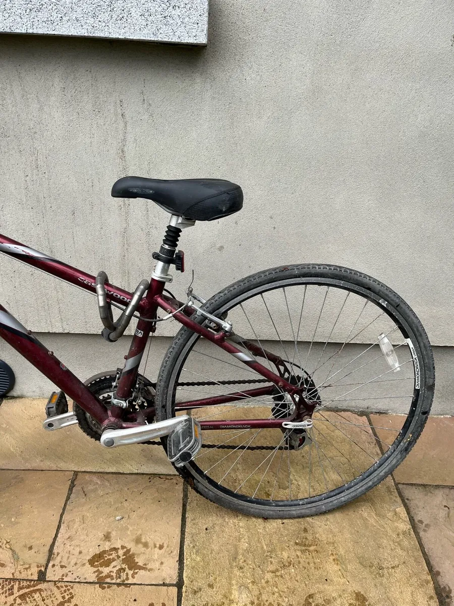 Diamond back ladies bike - Image 2