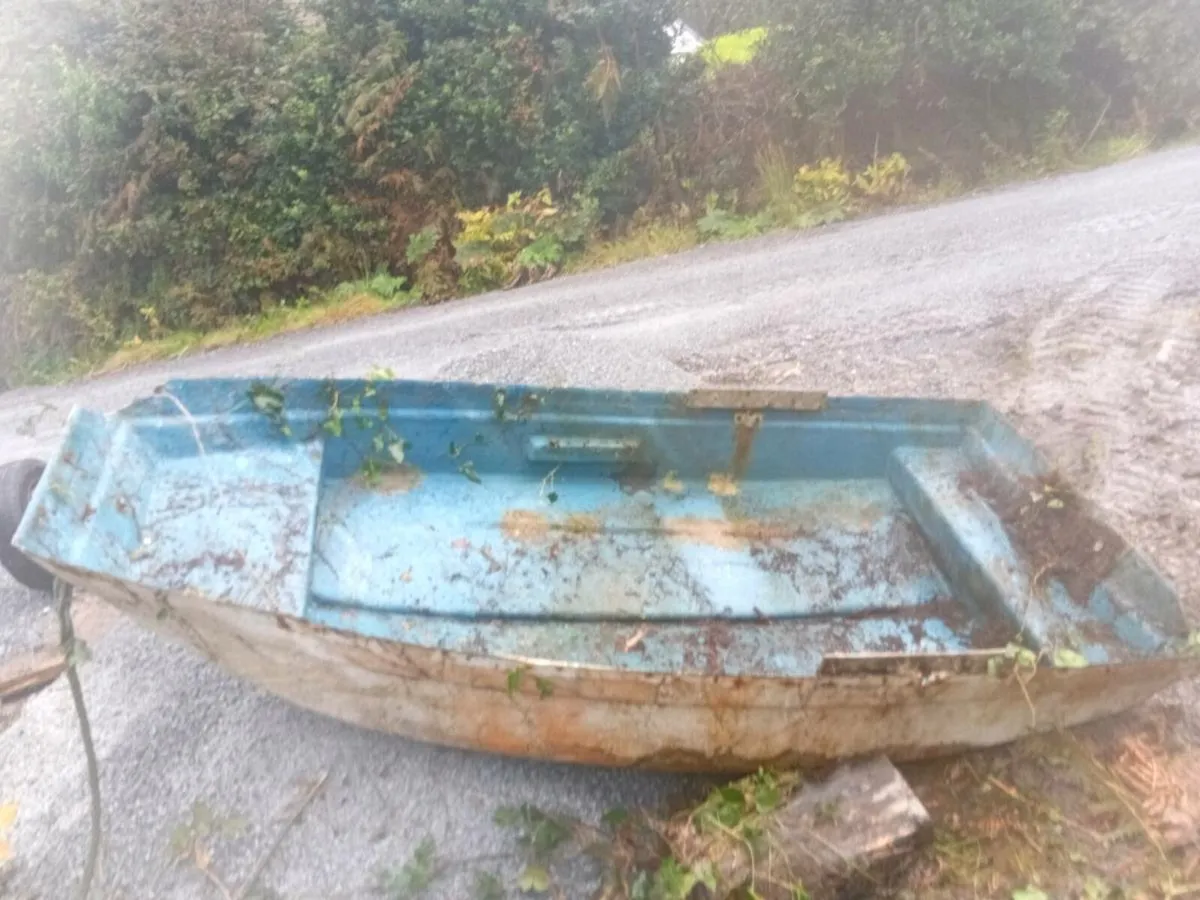 8ft punt - Image 1