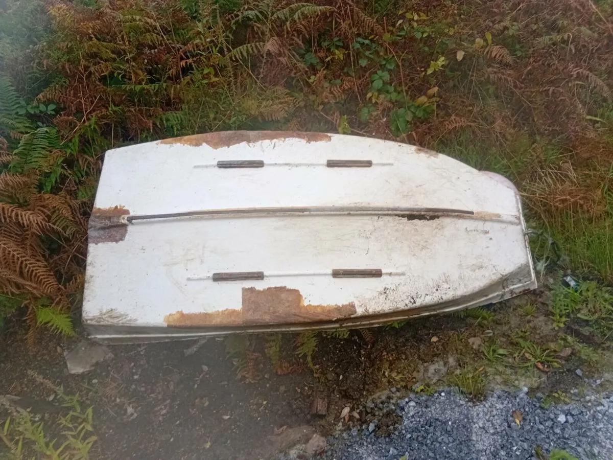 8ft punt - Image 2