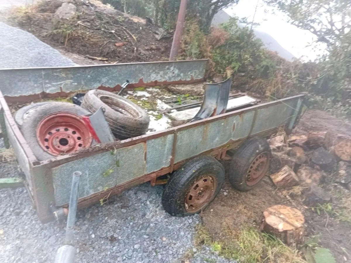 Double axel trailer - Image 1
