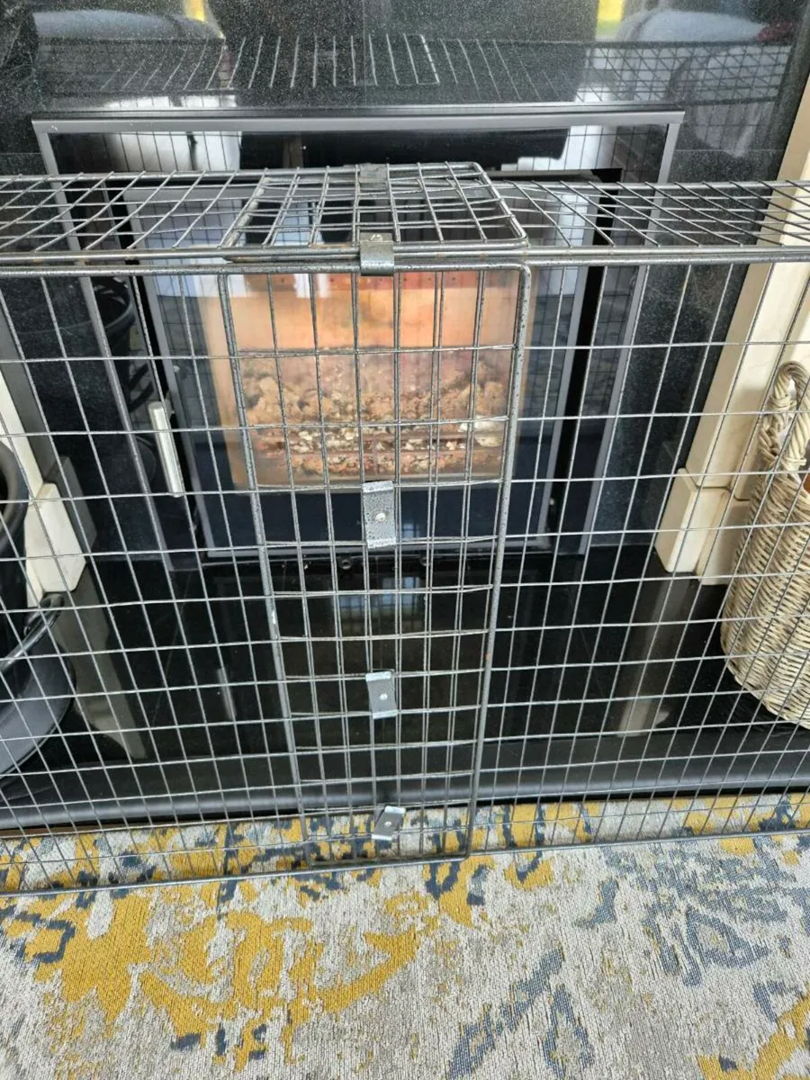 Fireguard - Image 2