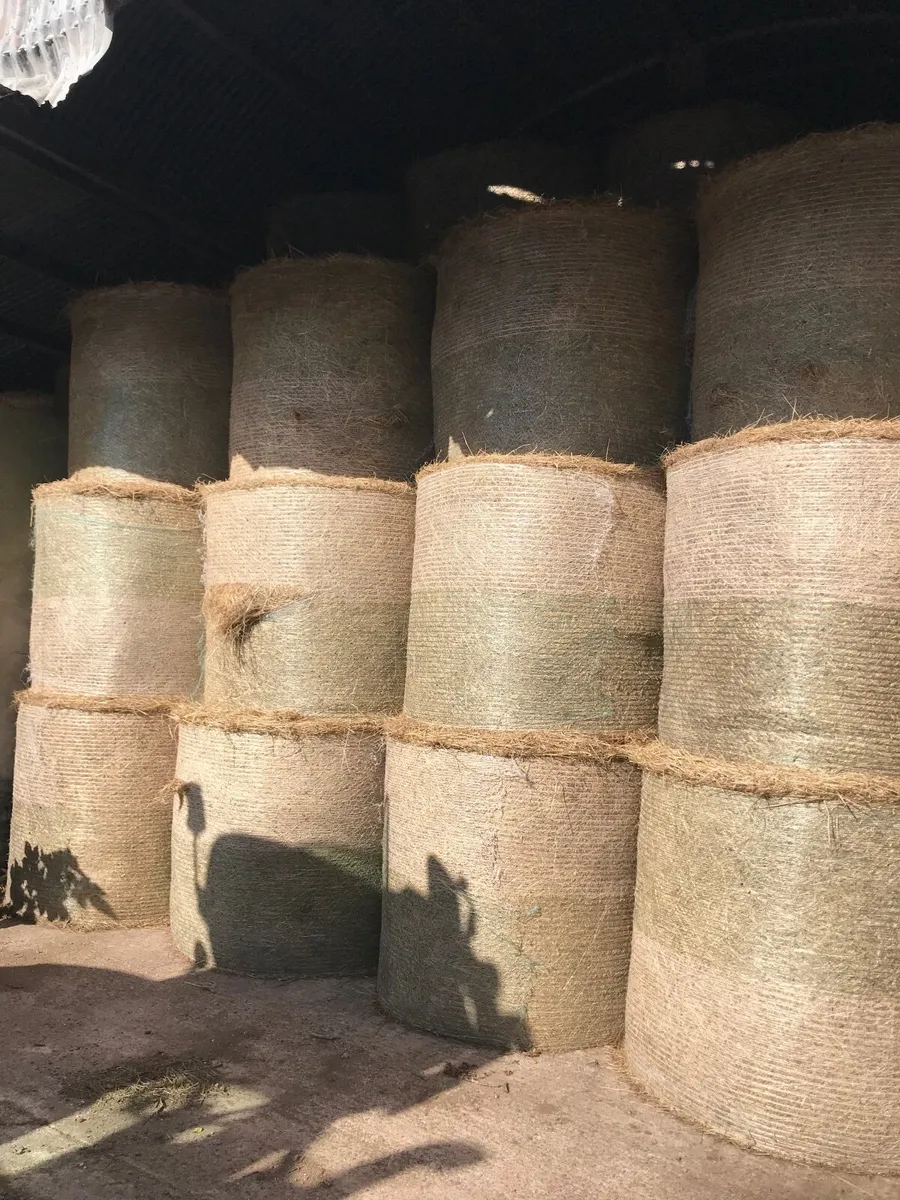 Round bales off quality hay - Image 1