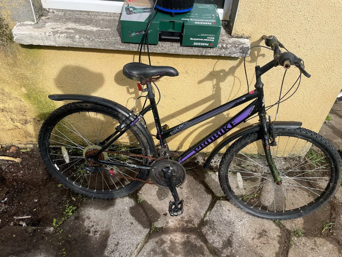 Bike - Image 1