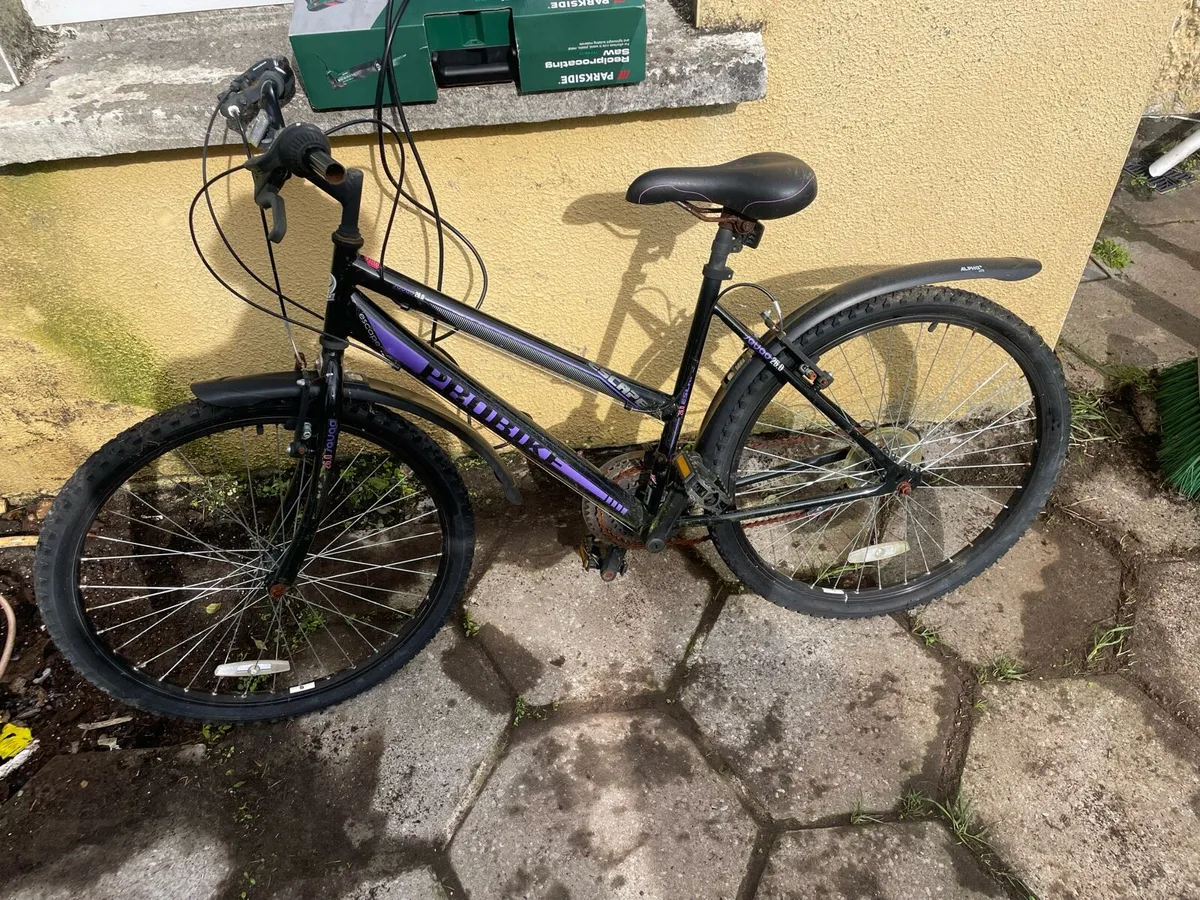 Bike - Image 2