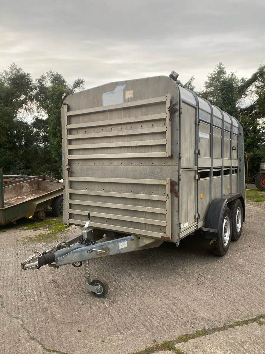 Ifor Williams 10x6 Cattle/Sheep Trailer - Image 1