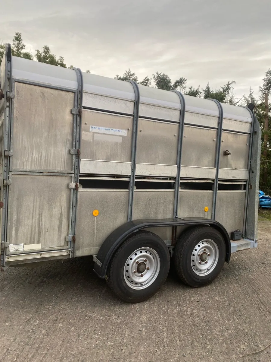 Ifor Williams 10x6 Cattle/Sheep Trailer - Image 2
