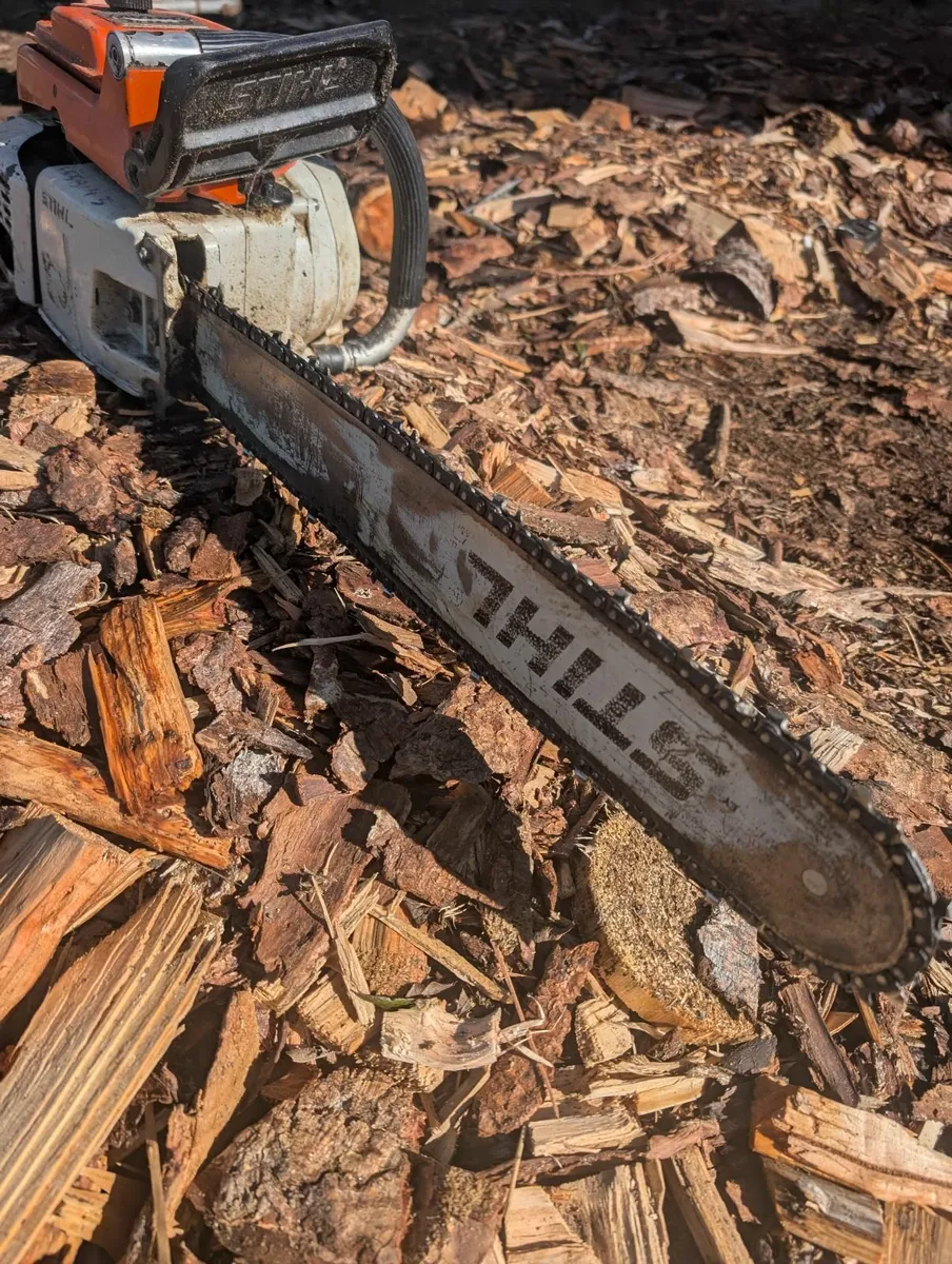 Chainsaw - Image 1