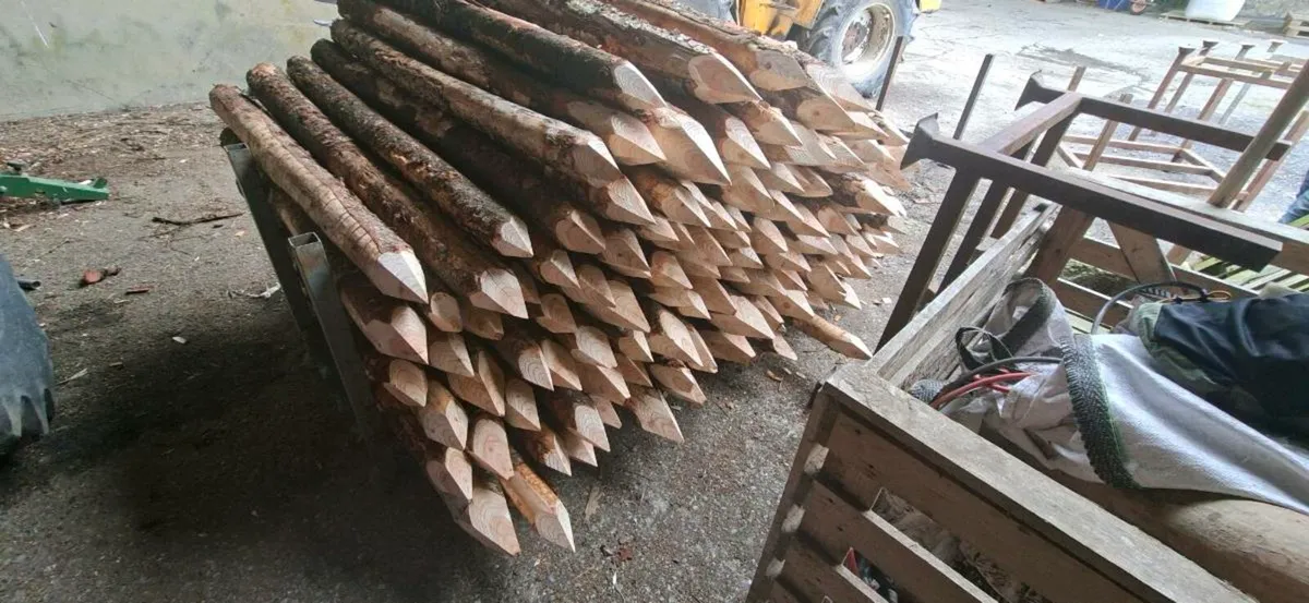 Organic Larch stakes/fence posts - Image 4