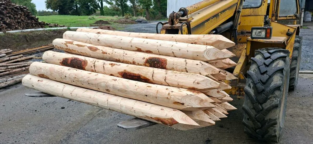 Organic Larch stakes/fence posts - Image 1