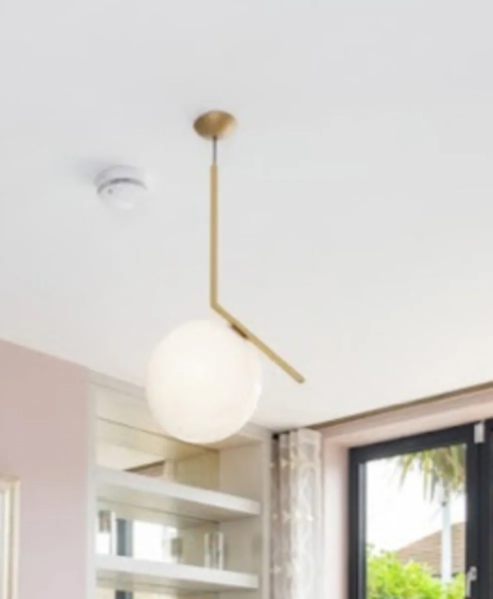 Large pendant light - Image 1