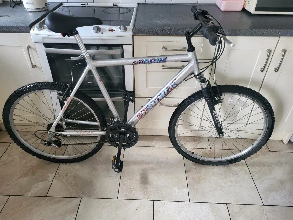 Bike - Image 1