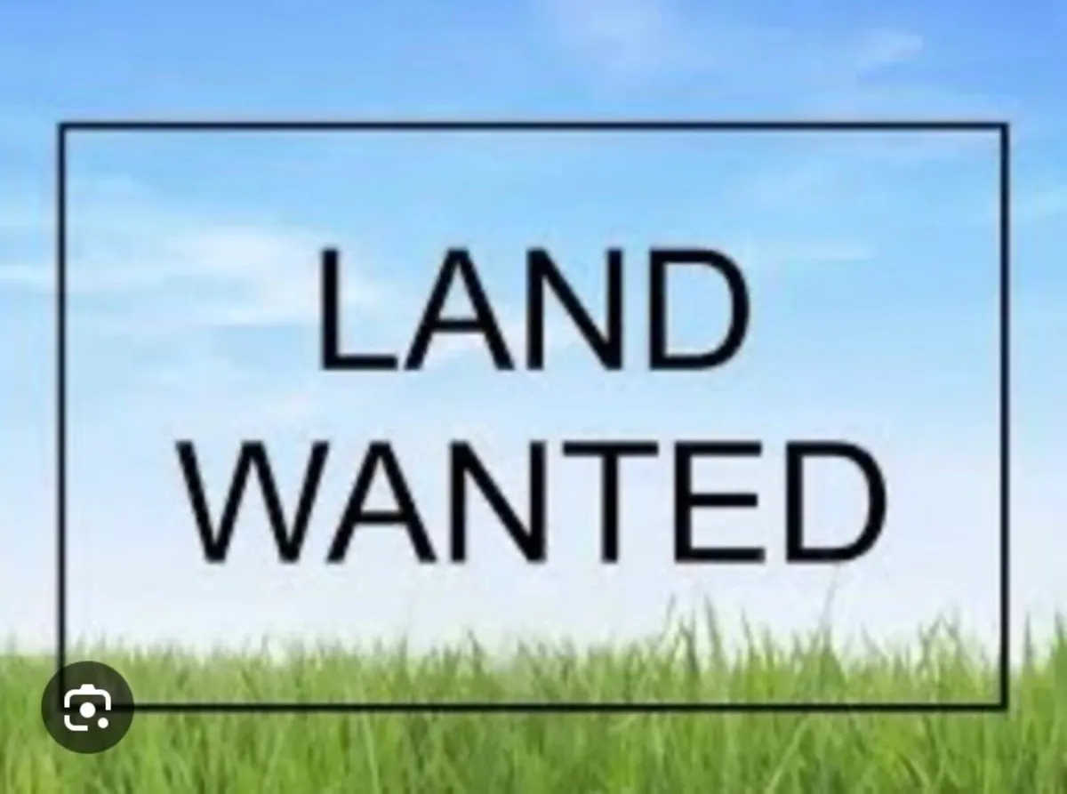 Wanted: 10 - 15 Acres of Winter Grazing for Horses
