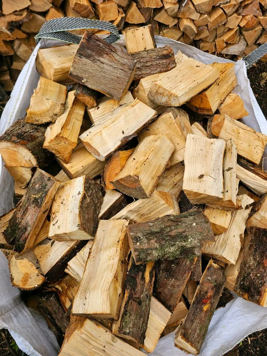 Firewood - Image 2