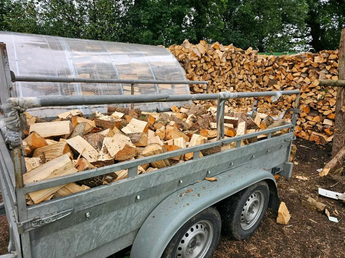 Firewood - Image 3