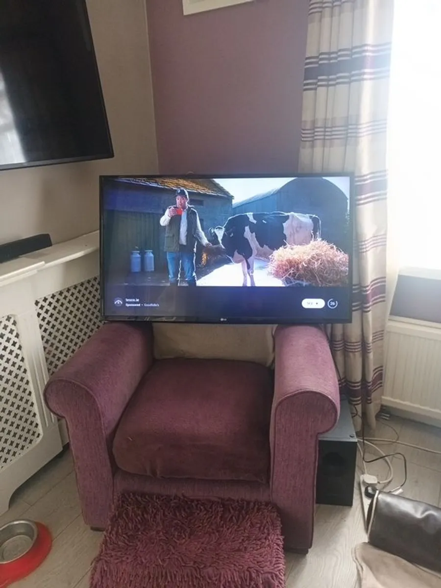 LG 43in Smart Tv - Image 2