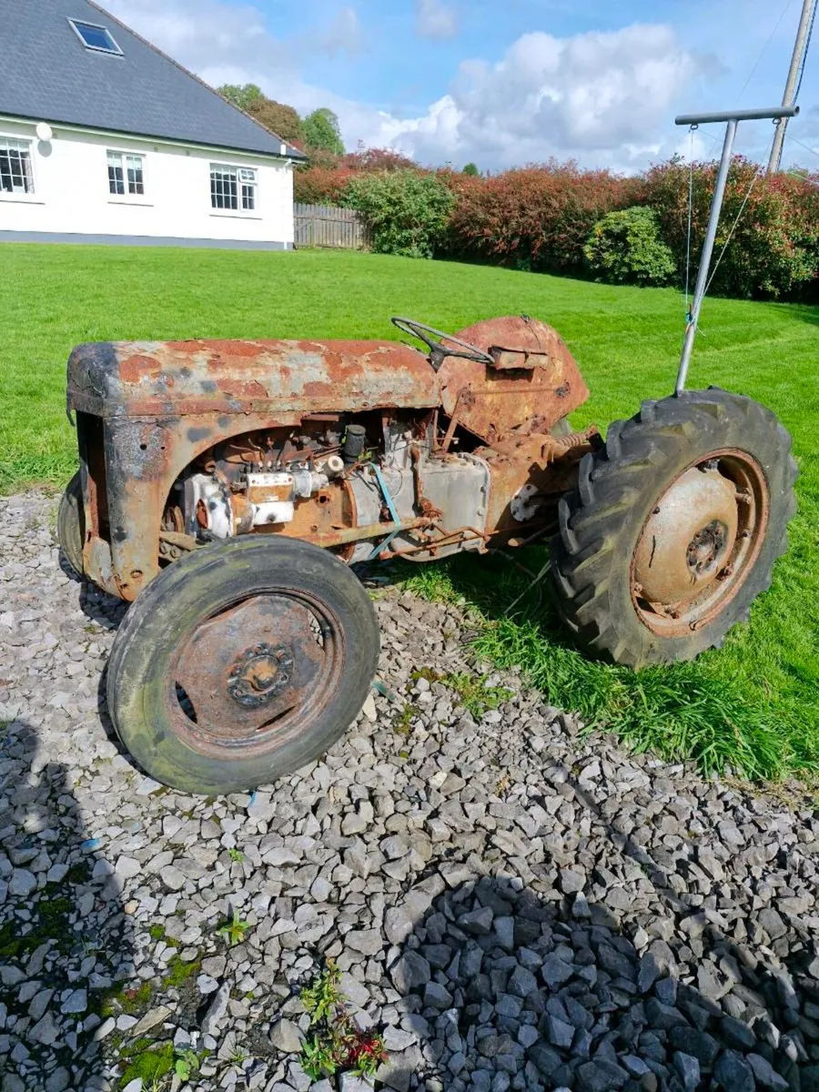 Ferguson 20
