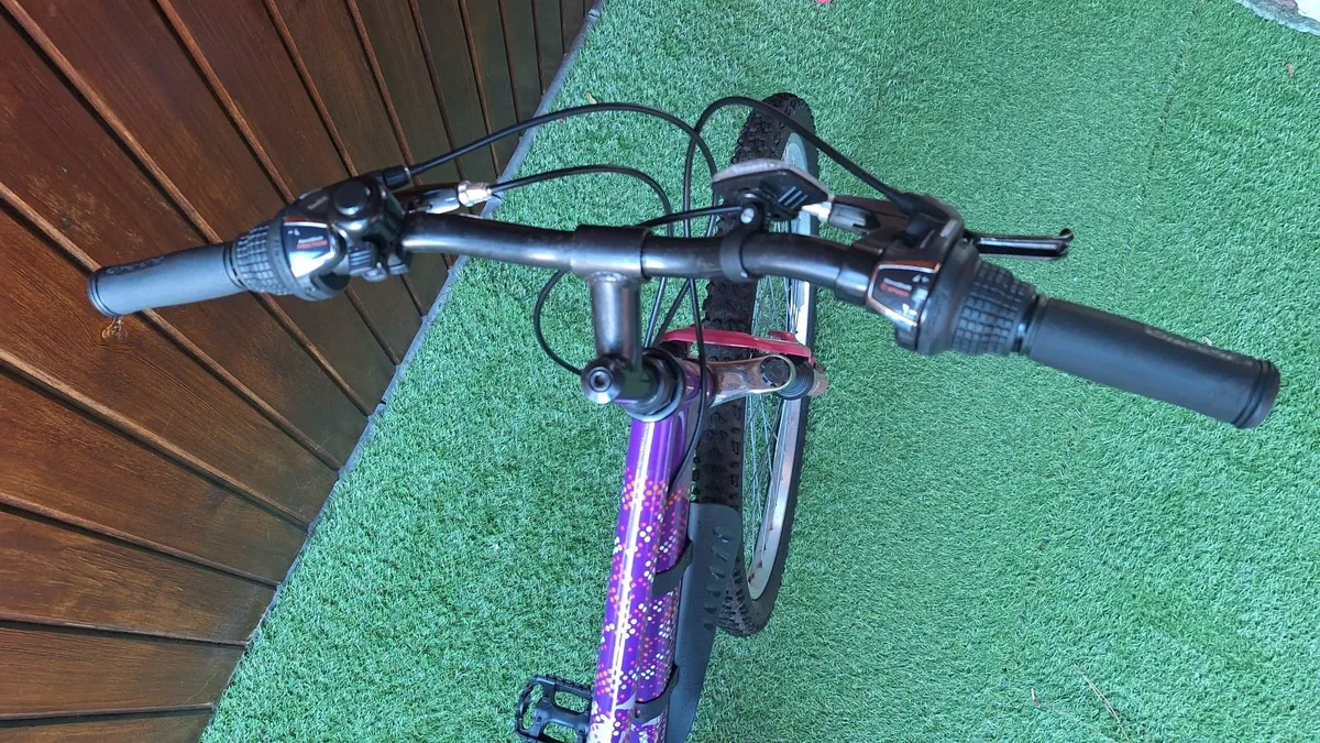 Bicycle - Image 1