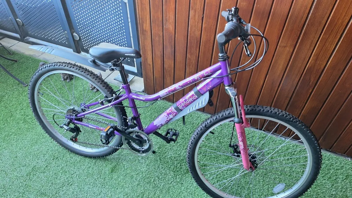 Bicycle - Image 3