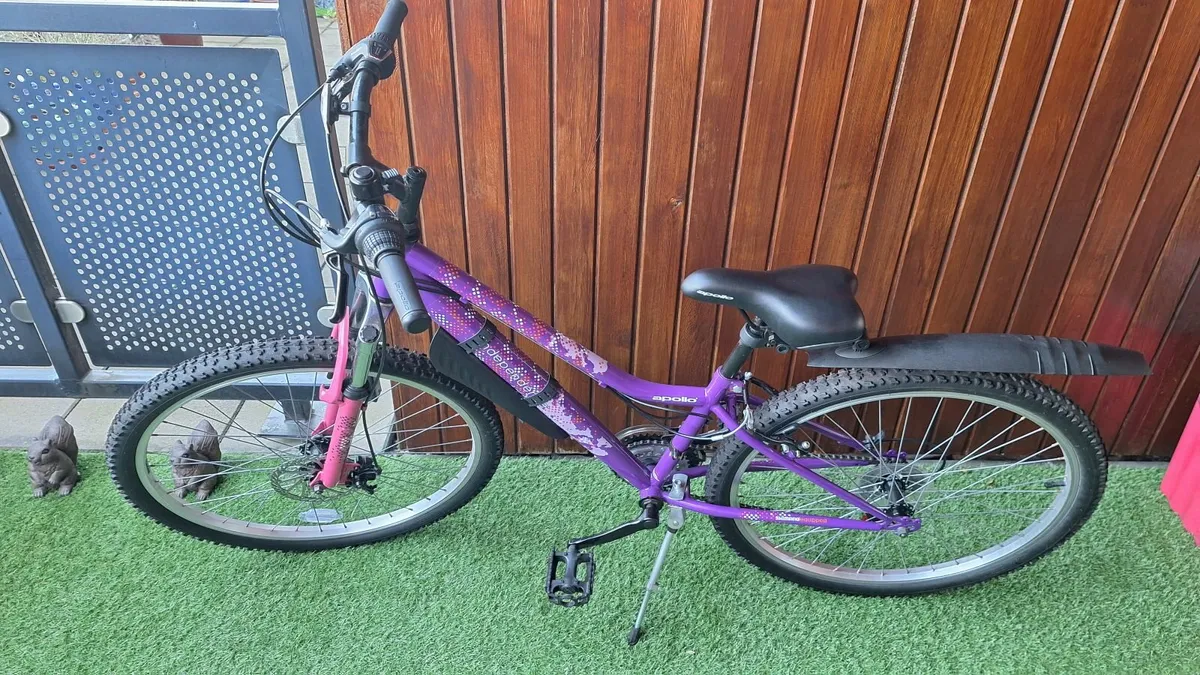 Bicycle - Image 4