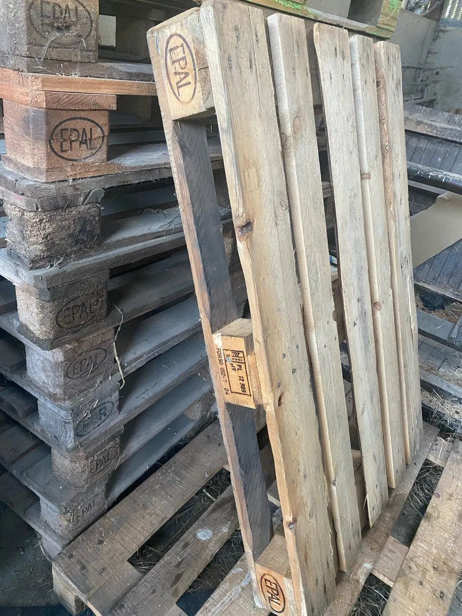 Quantity of Euro pallets - Image 2