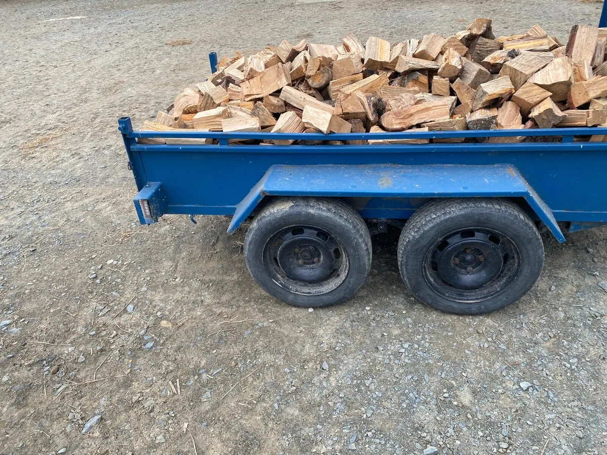 Firewood - Image 2